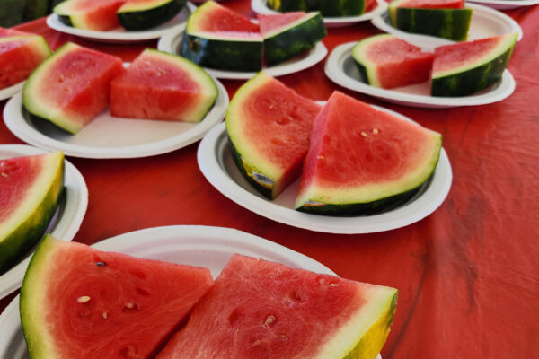 watermelon12